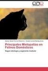 Principales Mielopatías en Felinos Domésticos