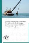 Fixation irréversible des métaux des sédiments de dragage