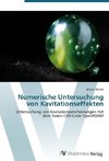 Numerische Untersuchung von Kavitationseffekten