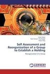 Self Assessment and Reorganization of a Group to Establish a Holding