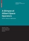 A Glimpse at Hilbert Space Operators