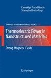 Thermoelectric Power in Nanostructured Materials