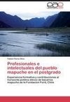 Profesionales e intelectuales del pueblo mapuche en el postgrado