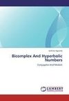 Bicomplex And Hyperbolic Numbers