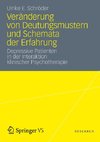 Veränderung von Deutungsmustern und Schemata der Erfahrung