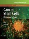 Cancer Stem Cells