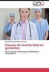 Causas de muerte fetal en gestantes