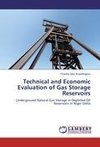 Technical and Economic Evaluation of Gas Storage Reservoirs