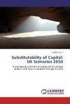 Substitutability of Capital: UK Scenarios 2050
