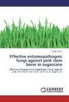 Effective entomopathognic fungi against pink stem borer  in sugarcane