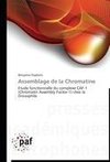 Assemblage de la Chromatine