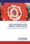 Self and Desire in the Modern Turkish Novel