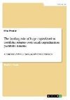 The leading role of large capitalization portfolio returns over small capitalization portfolio returns