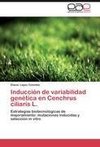 Inducción de variabilidad genética en Cenchrus ciliaris L.