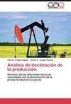 Análisis de declinación de la producción