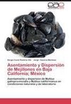 Asentamiento y Dispersión de Mejillones en Baja California; México