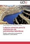 Labores mineras para la explotación de yacimientos lateríticos