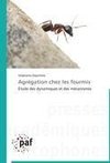 Agrégation chez les fourmis