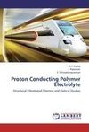 Proton Conducting Polymer Electrolyte