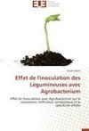 Effet de l'inoculation des Légumineuses avec Agrobacterium