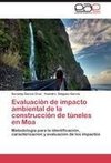 Evaluación de impacto ambiental de la construcción de túneles en Moa