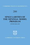 Singularities of the Minimal Model Program