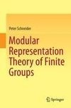 Modular Representation Theory of Finite Groups