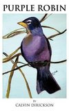 Purple Robin