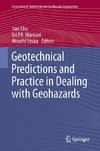 Geotechnical Predictions and Practice in Dealing with Geohazards