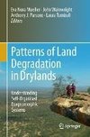 Patterns of Land Degradation in Drylands