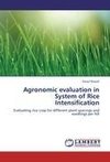 Agronomic evaluation in System of Rice Intensification