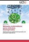 Métodos matemáticos para sistemas bioinspirados