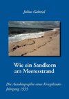 Wie ein Sandkorn am Meeresstrand