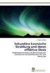 Sekundäre kosmische Strahlung und deren effektive Dosis