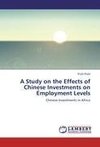 A Study on the Effects of Chinese Investments on Employment Levels