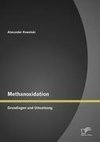 Methanoxidation: Grundlagen und Umsetzung