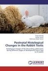 Postnatal Histological Changes in the Rabbit Testis