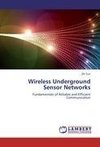 Wireless Underground Sensor Networks