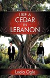 Like a Cedar in Lebanon