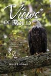 Views of Bold