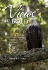 Views of Bold