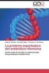 La proteína exportadora del antibiótico rifamicina