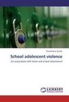 School adolescent violence