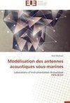 Modélisation des antennes acoustiques sous-marines