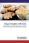 Ginger (Zingiber officinale)