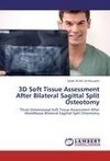 3D Soft Tissue Assessment After Bilateral Sagittal Split Osteotomy