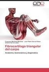 Fibrocartilago triangular del carpo