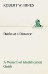 Ducks at a Distance A Waterfowl Identification Guide