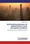 Self-leveling behavior of debris beds in core disruptive accidents