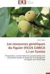 Les ressources génétiques du figuier (FICUS CARICA L.) en Tunisie